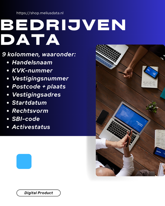 IT-adviesbedrijven Nederland (KVK Data – SBI 6202)