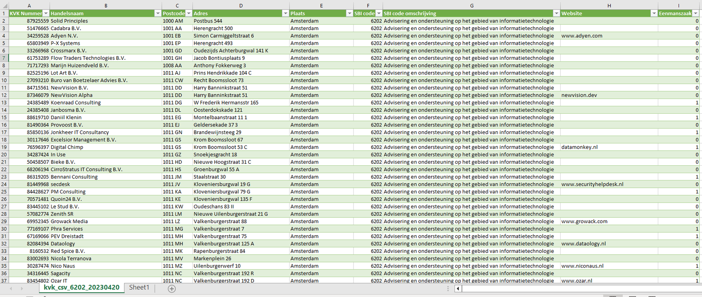 IT-adviesbedrijven Nederland (KVK Data – SBI 6202)