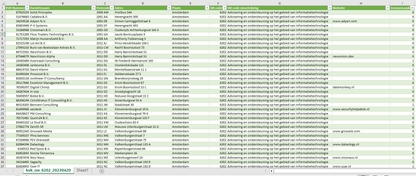 IT-adviesbedrijven Nederland (KVK Data – SBI 6202)